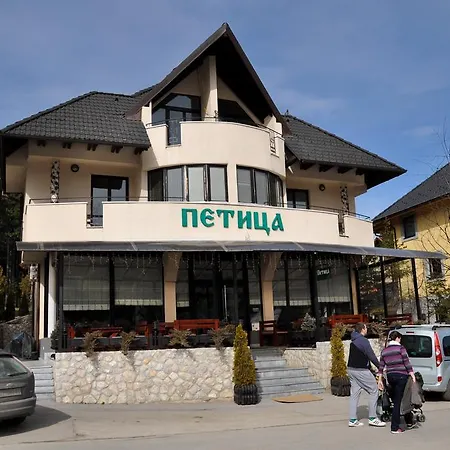 Vidic * 즐라티보